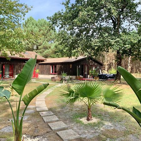 Hacienda de la Canopée Hourtin Esterno foto