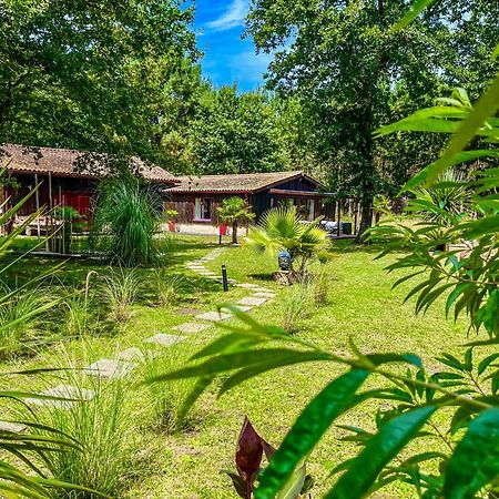 Hacienda de la Canopée Hourtin Esterno foto