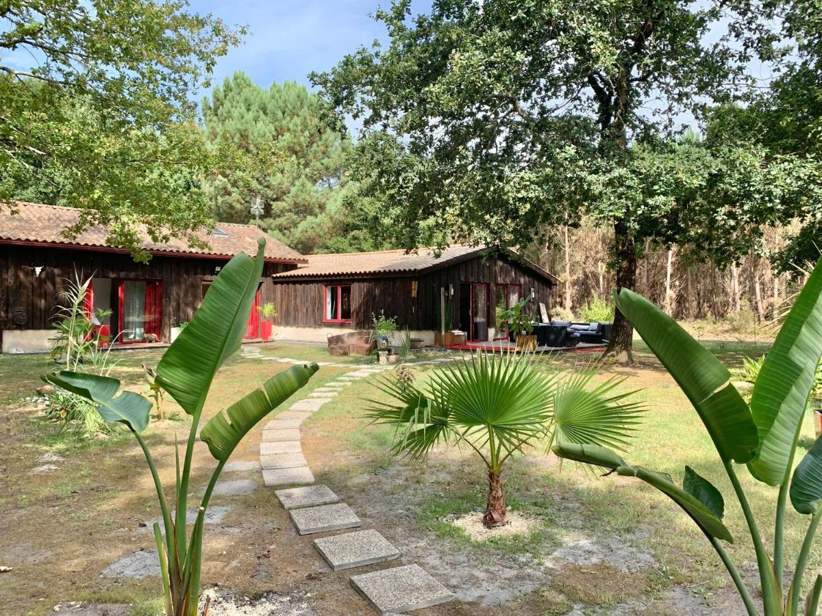 Hacienda de la Canopée Hourtin Esterno foto